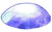 Gel disc elliptic