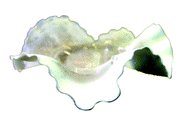 Simulation elliptic